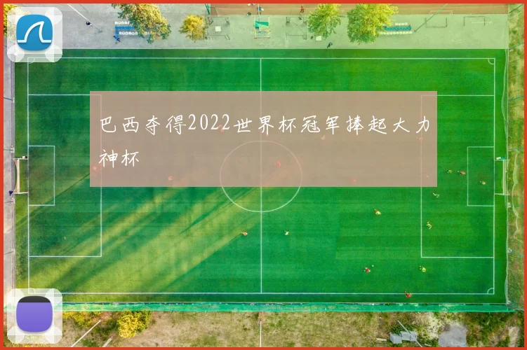 巴西夺得2022世界杯冠军捧起大力神杯